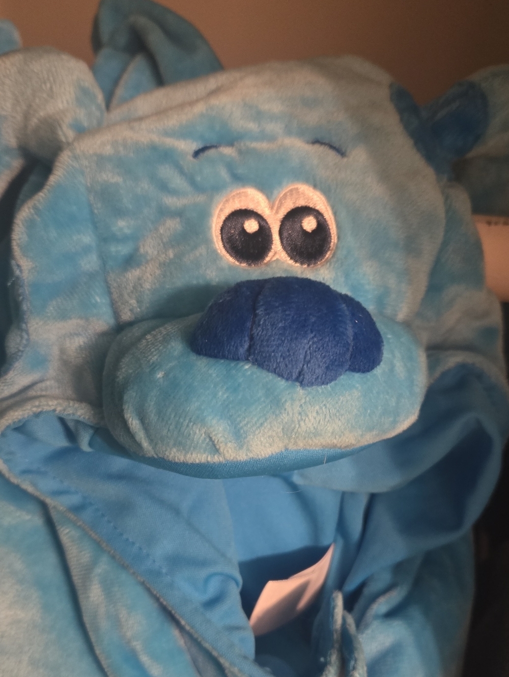 Blue's Clues Toddler Halloween Costume. Size 2T